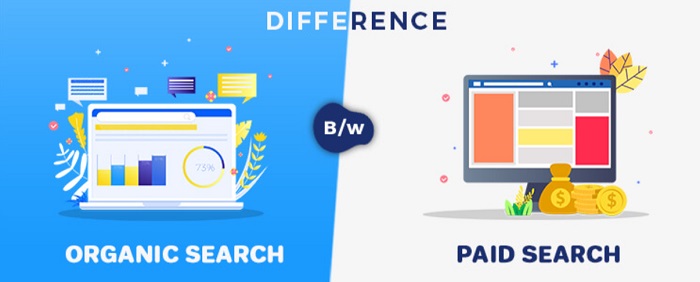 Difference between organic and paid search results