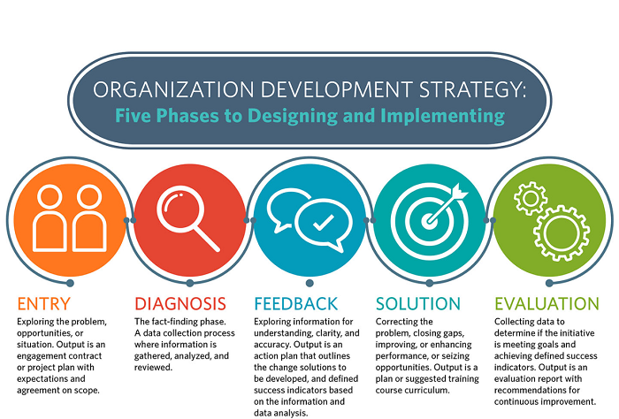 understanding the organization's development process