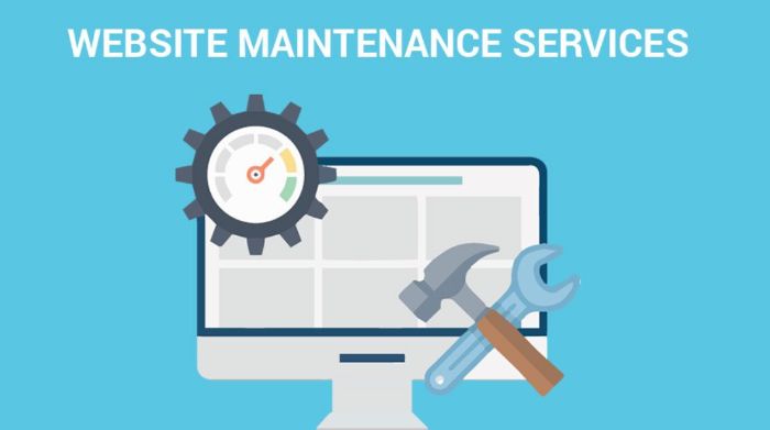 website maintainance services