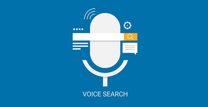 Optimize for voice search