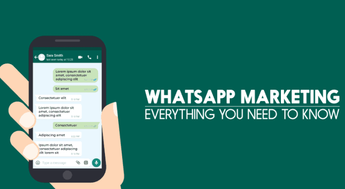 know about whatsapp marketing