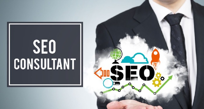 What is a SEO Consultant