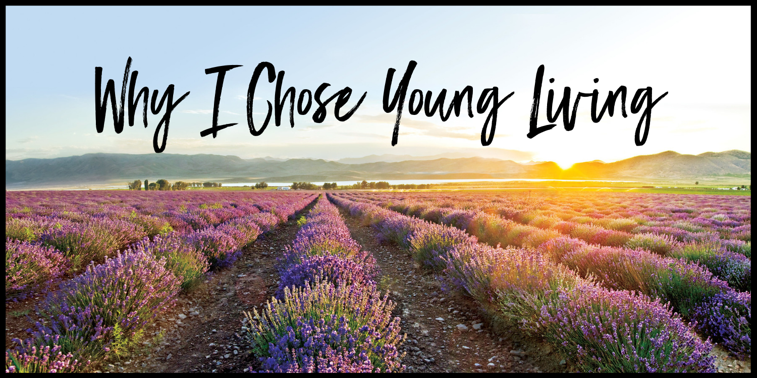 Young Living top MLM companies